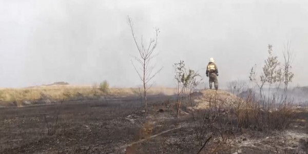 Наурызым қорығында өрт шықты