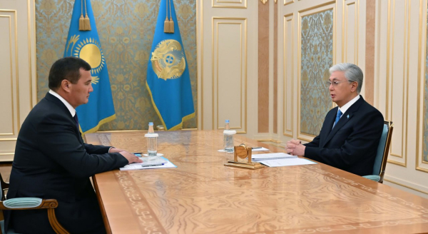 Мемлекет басшысы Нұрлыбек Нәлібаевты қабылдады