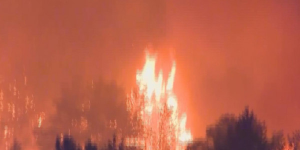 Биыл күн жылынғалы 120-дан астам табиғи өрт болған