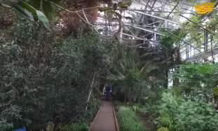 &laquo;Экспедиция 25&raquo;. Петропавловск