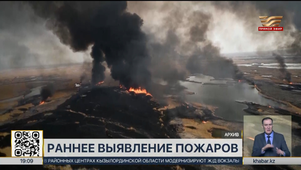 Систему раннего выявления лесных пожаров внедряют в РК