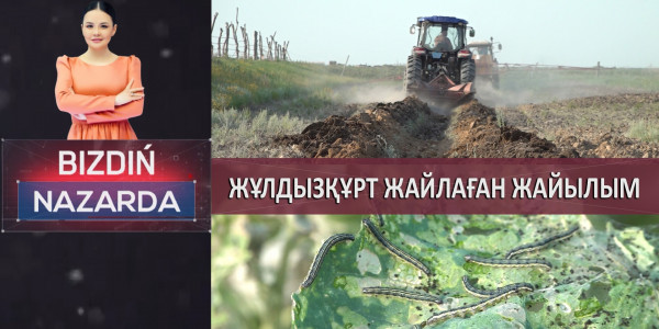 Алданған үлескерлер. Жұлдызқұрт жайлаған жайылым. &laquo;Bizdiń nazarda&raquo;