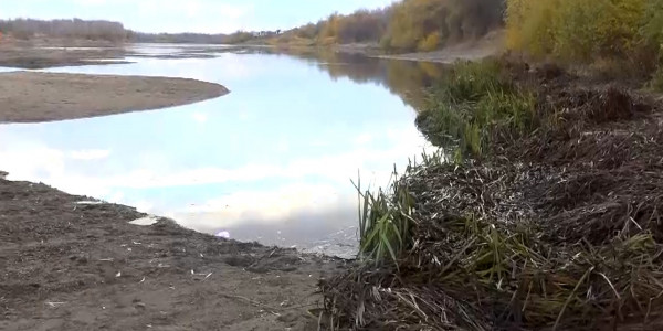 Жайық ортайып барады