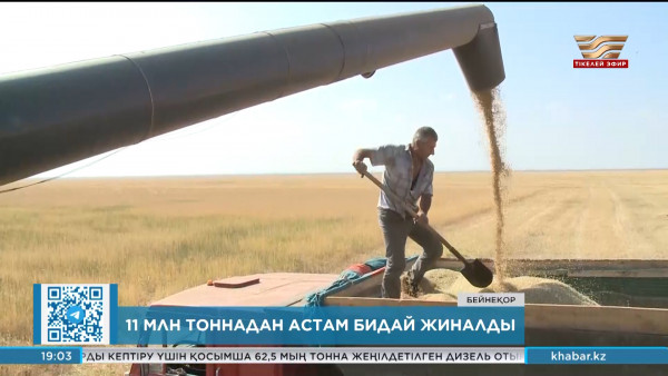 Елімізде 11 млн тоннадан астам бидай жиналды