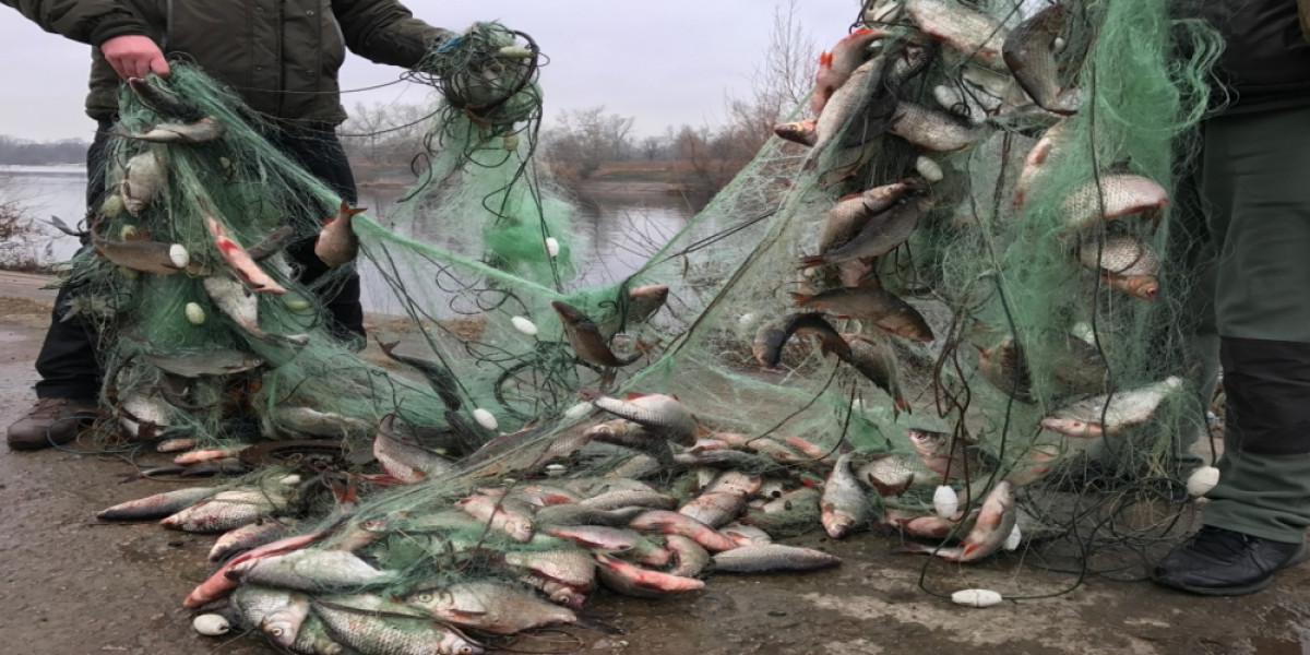 У браконьеров изъяли больше двух тонн рыбы в Атырауской области