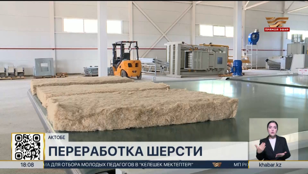 Теплоизоляционные материалы из овечьей шерсти будут производить в Актобе