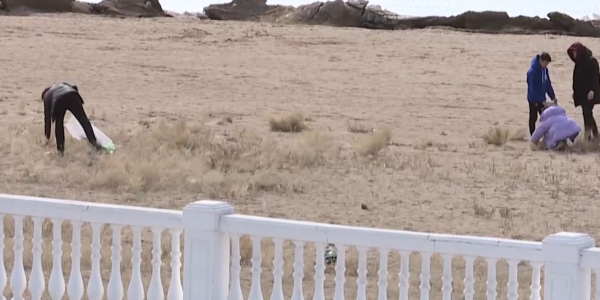 Қарағанды облысындағы Балқаш қаласының волонтерлері эко-челлендж бастады