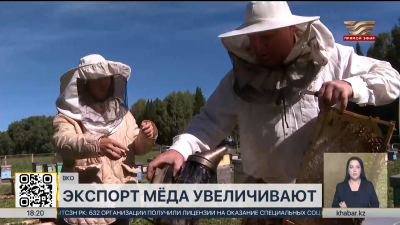 Пчеловоды ВКО увеличивают экспорт мёда