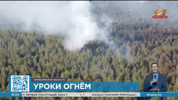 Как проходит пожароопасный сезон в стране?