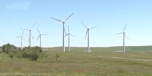 650 млрд тенге потребуется стране для достижения углеродной нейтральности