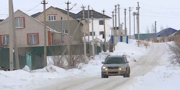 Ақтөбеде жергілікті билік 400-ге жуық тал-көшетті тамырымен бірге жоюды көздеп отыр