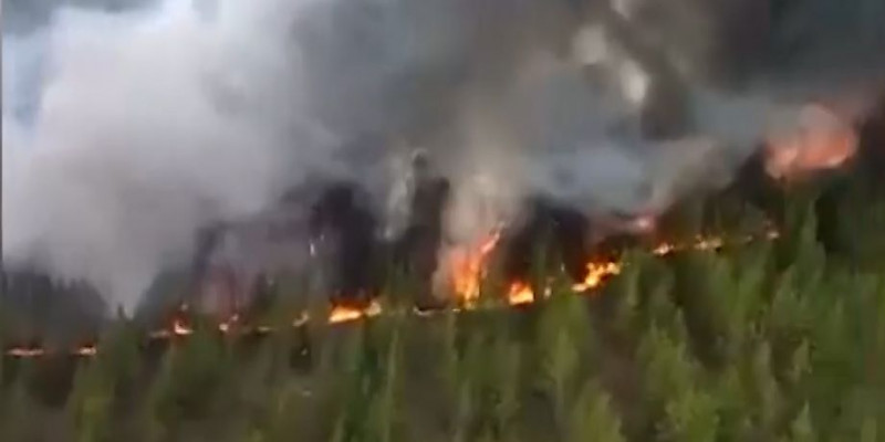 Жители 3 сел в области Абай эвакуированы из-за пожара