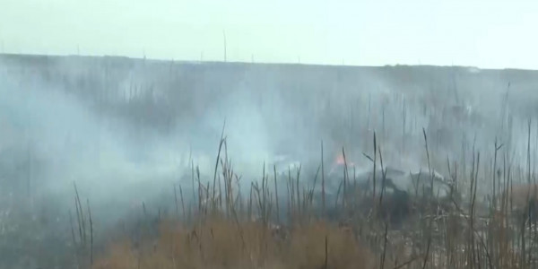 Пожар в Атырауском природном резервате &laquo;Акжайык&raquo; могли спровоцировать браконьеры