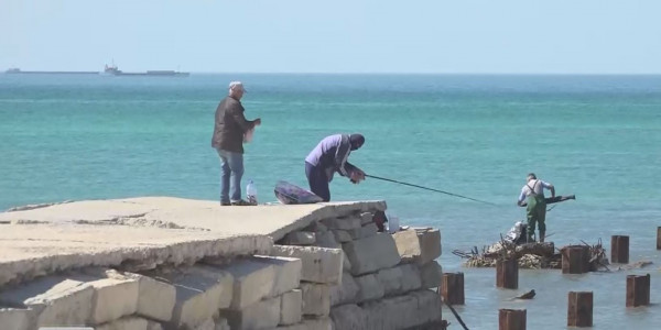 БҚО-да балық шаруашылығын дамытуға басымдық беріледі