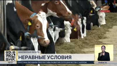 Казахстанские производители молока жалуются на неравные условия в ЕАЭС