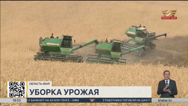 Порядка миллиона тонн урожая планируют собрать в области Абай