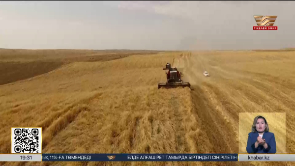Егін ору науқаны басталды