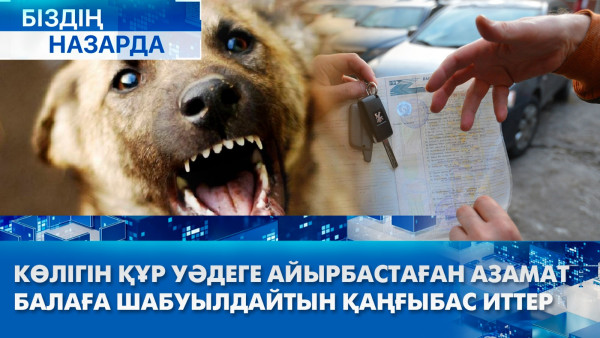 Көлігін құр уәдеге айырбастаған азамат, балаға шабуылдайтын қаңғыбас иттер | Біздің назарда