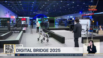 Более 130 стартапов и IT-компаний представили свои идеи на Digital Bridge 2025