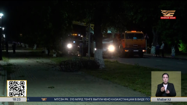 Последствия штормового ветра устраняют в Павлодарской области