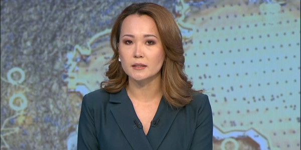 К. Токаев: Одна из главнейших задач исполнительной власти осталась невыполненной