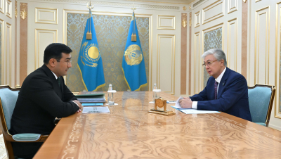 Президент «Бәйтерек» холдингінің басқарма төрағасын қабылдады
