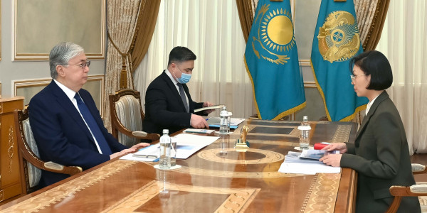 Мемлекет басшысы Экология және табиғи ресурстар министрі Зүлфия  Сүлейменованы қабылдады