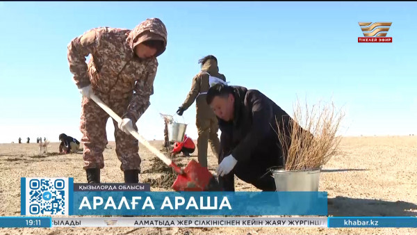 Волонтерлер Арал теңізіндегі құрғаған жерлерге 5000 түп сексеуіл еккен