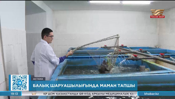 Балық шаруашылығында маман тапшы
