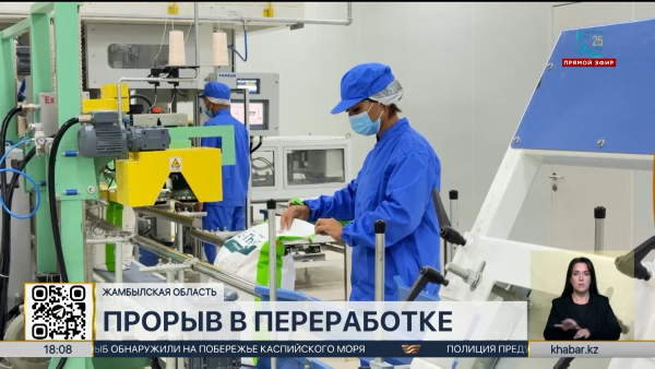 В Казахстане растут объёмы переработки сельхозпродукции