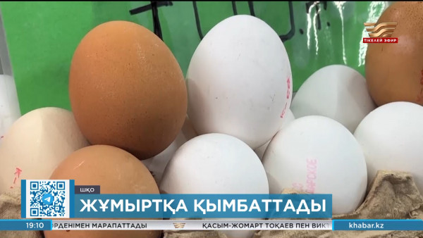 ШҚО-да жұмыртқа бағасы 8% қымбаттады