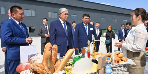 Глава государства ознакомился с продукцией предприятий Павлодарской области