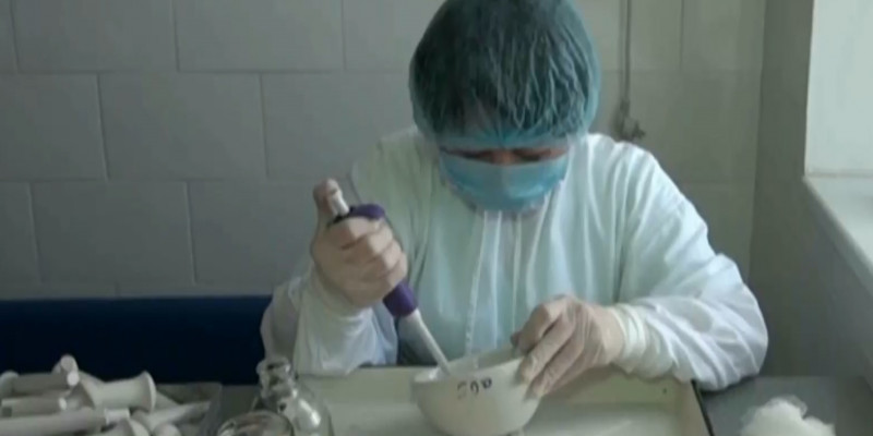 46 человек подверглись укусам клещей с начала года в Кызылординской области