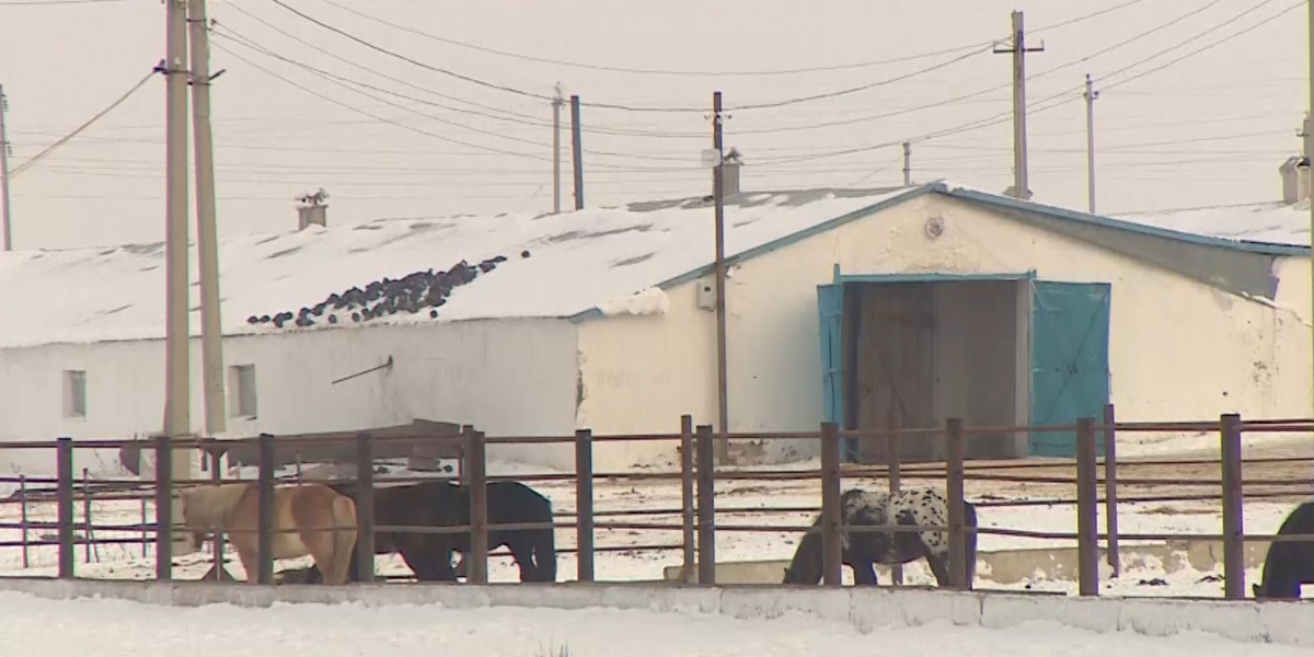 Менің жалаңаш әйелімнің ескі фотосы