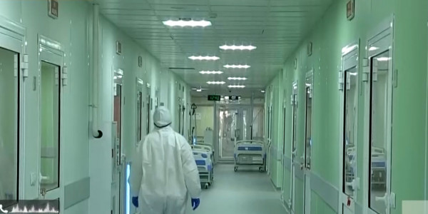 Сибирская язва подтвердилась у двоих жителей Шымкента