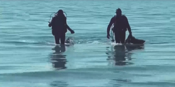 Маңғыстаулық оқушы Каспий теңізін қоқыстан тазартуға бел буып отыр