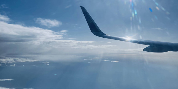 Ұшақтағы ойлар: Алашорда қызыққан Жапония, &laquo;Феникс қала&raquo; және сиқырлы бейсбол клубы