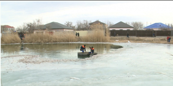 Причины гибели рыбы на реке Урал в Атырауской области установит специальная комиссия