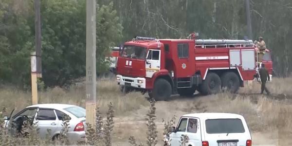 Арестован глава лесничества в Костанайской области