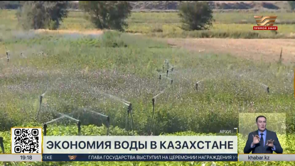 Более 870 млн кубометров воды сэкономлено в сельском хозяйстве