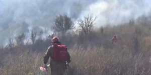 Крупный природный пожар локализован в Алматинской области