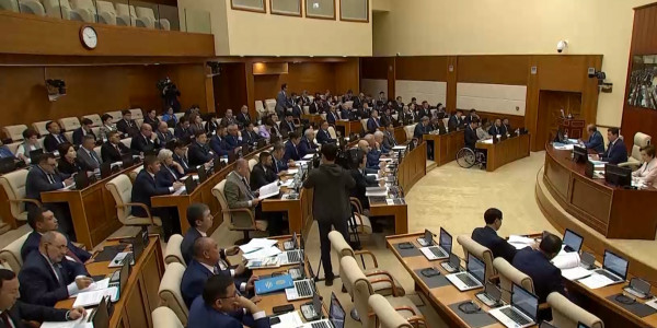 Депутаттар халықтың бұйымтайларын жеткізді