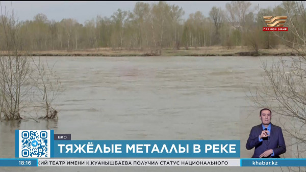 Горнорудную компанию обяжут возместить экологический ущерб в ВКО