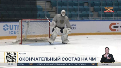 Сборная Казахстана по хоккею сыграет против команды Словении