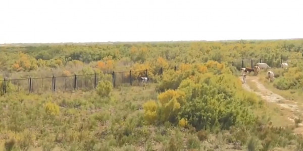 Атыраулық шаруаларға жер жетпей жатыр