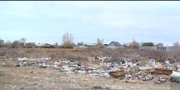 100 КАМАЗов мусора собрали карагандинские экоактивисты на пляжах Балхаша