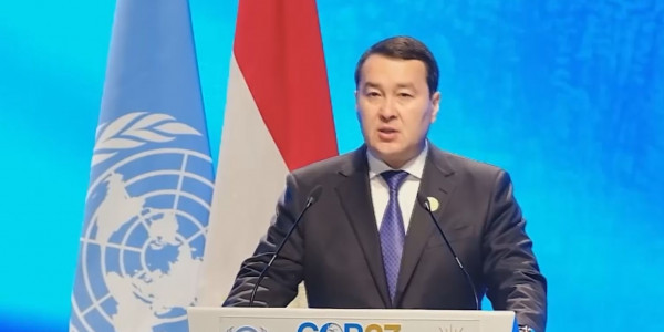 Смайылов жаңартылған энергияны дамыту жайлы айтты