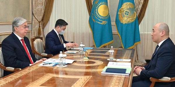 Глава государства принял председателя правления АО &laquo;Национальный управляющий холдинг &laquo;Байтерек&raquo; Каната Шарлапаева