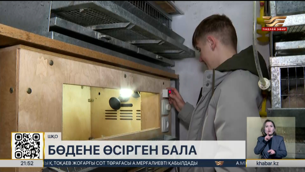 ШҚО оқушысы бөдене шаруашылығын бастады