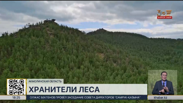 Хранители природы: династия лесников проживает в Акмолинской области